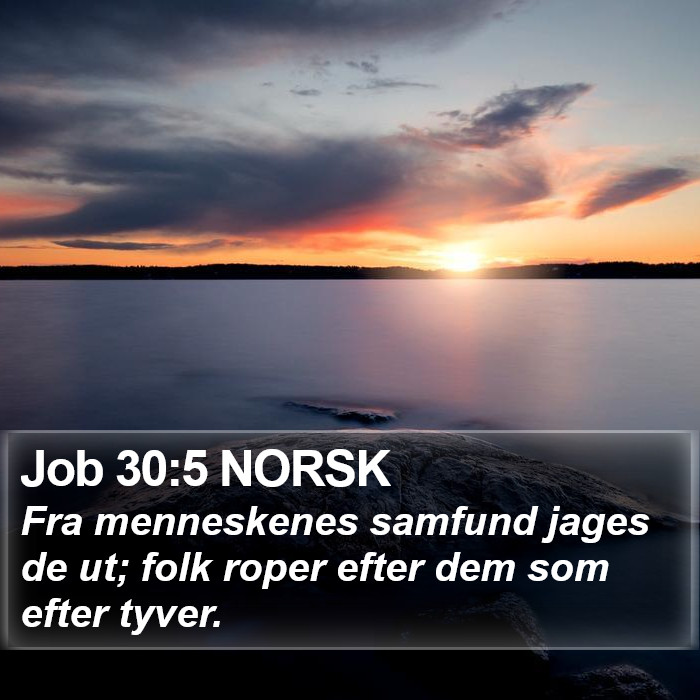 Job 30:5 NORSK Bible Study