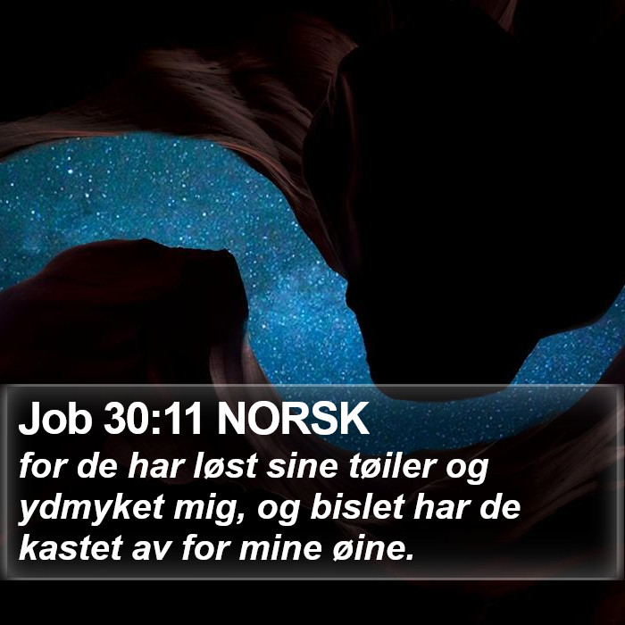 Job 30:11 NORSK Bible Study