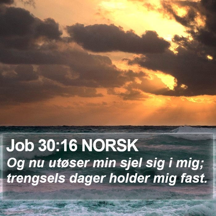 Job 30:16 NORSK Bible Study