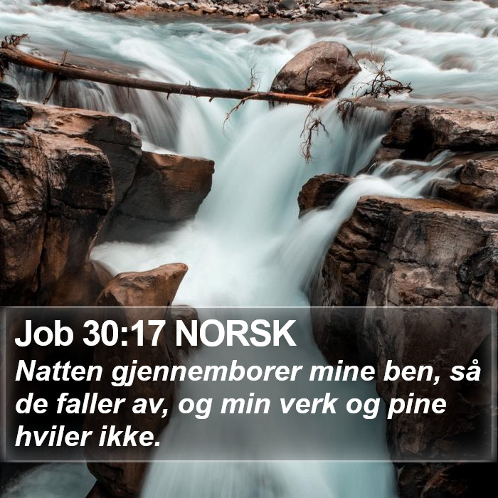 Job 30:17 NORSK Bible Study