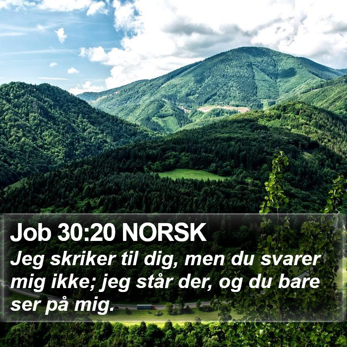 Job 30:20 NORSK Bible Study