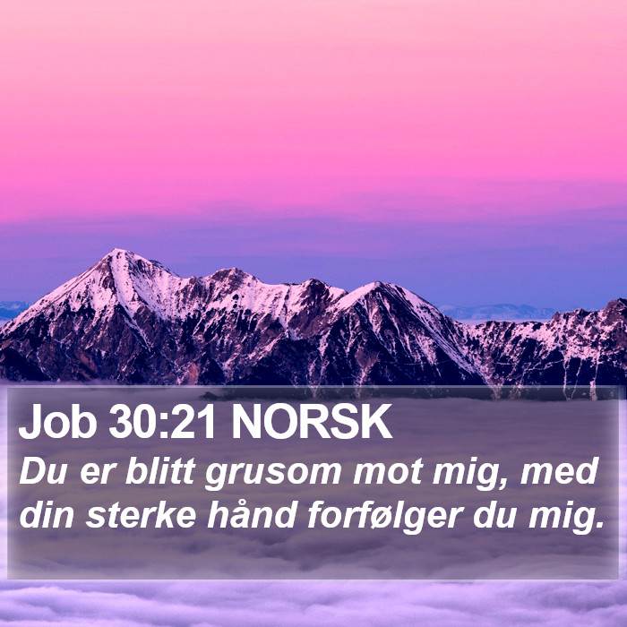 Job 30:21 NORSK Bible Study