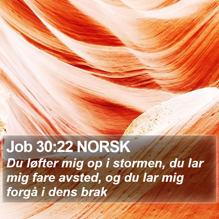 Job 30:22 NORSK Bible Study