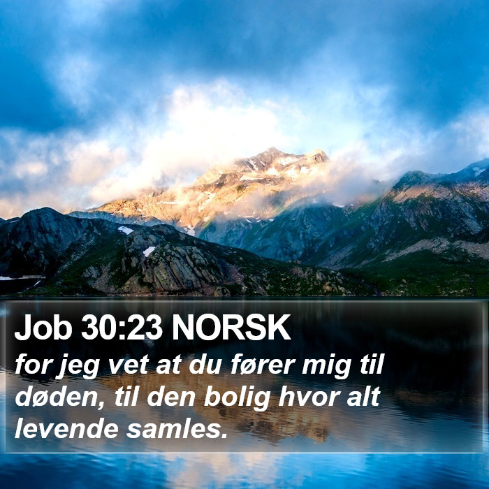 Job 30:23 NORSK Bible Study