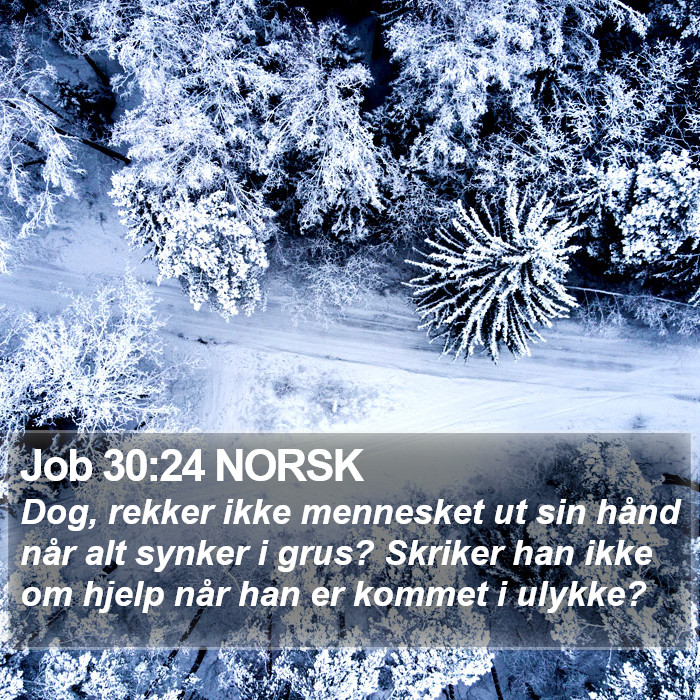 Job 30:24 NORSK Bible Study