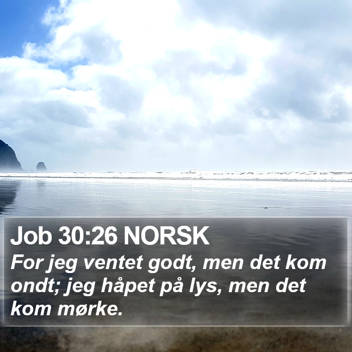 Job 30:26 NORSK Bible Study