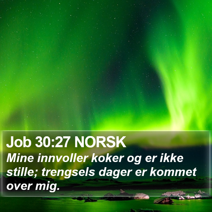 Job 30:27 NORSK Bible Study
