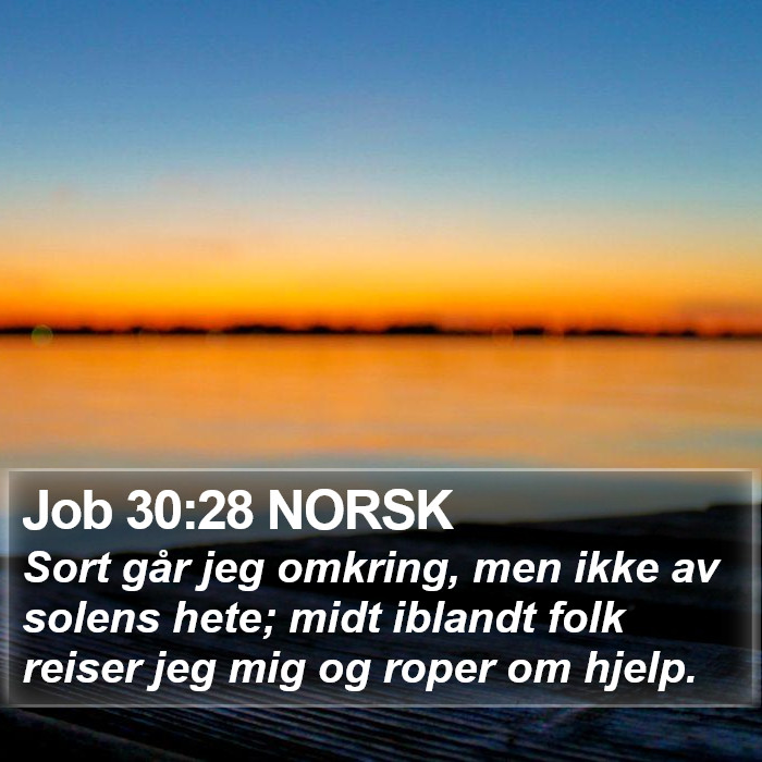 Job 30:28 NORSK Bible Study