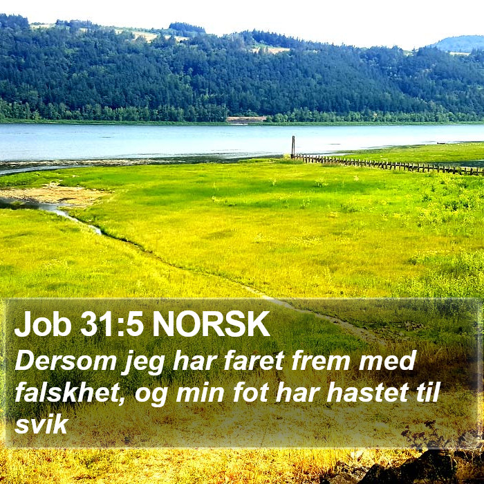 Job 31:5 NORSK Bible Study