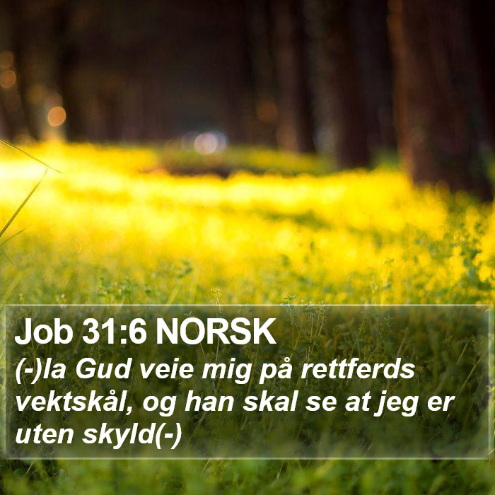 Job 31:6 NORSK Bible Study