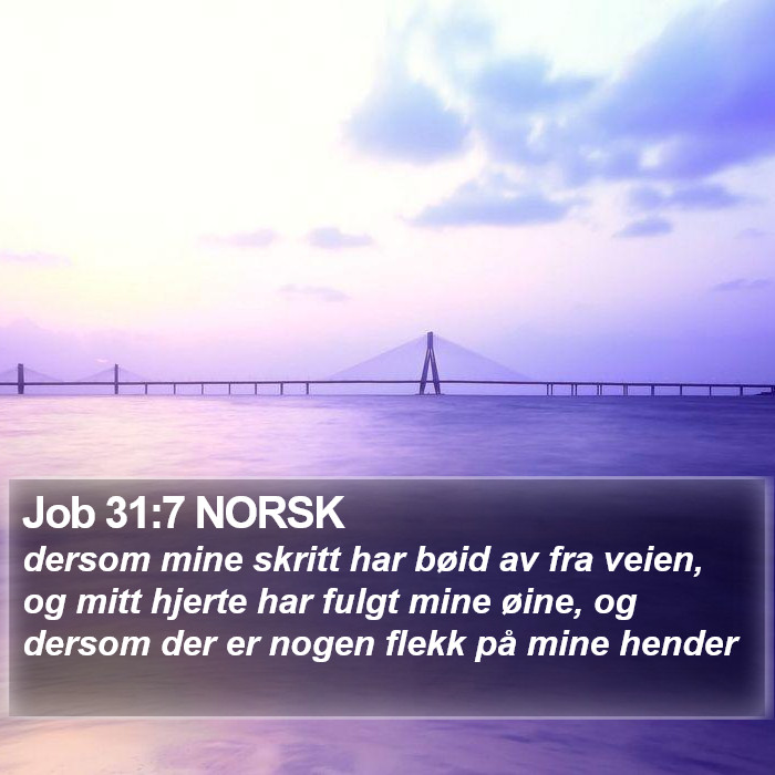 Job 31:7 NORSK Bible Study