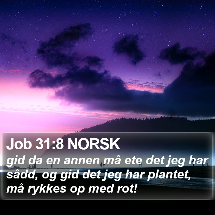 Job 31:8 NORSK Bible Study