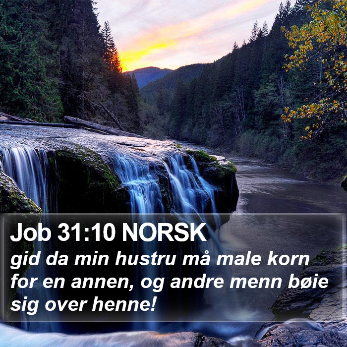 Job 31:10 NORSK Bible Study