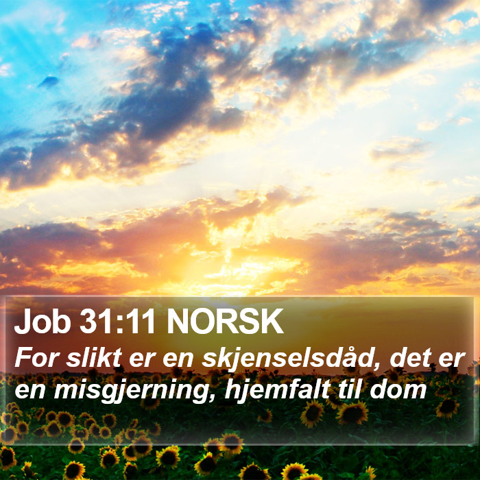 Job 31:11 NORSK Bible Study