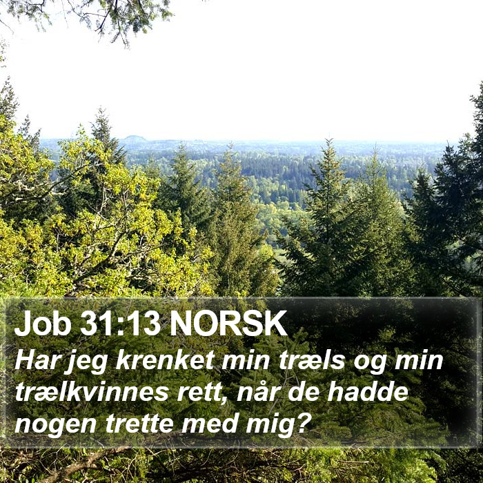 Job 31:13 NORSK Bible Study