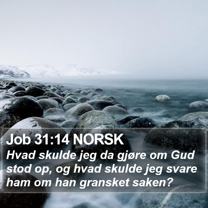 Job 31:14 NORSK Bible Study