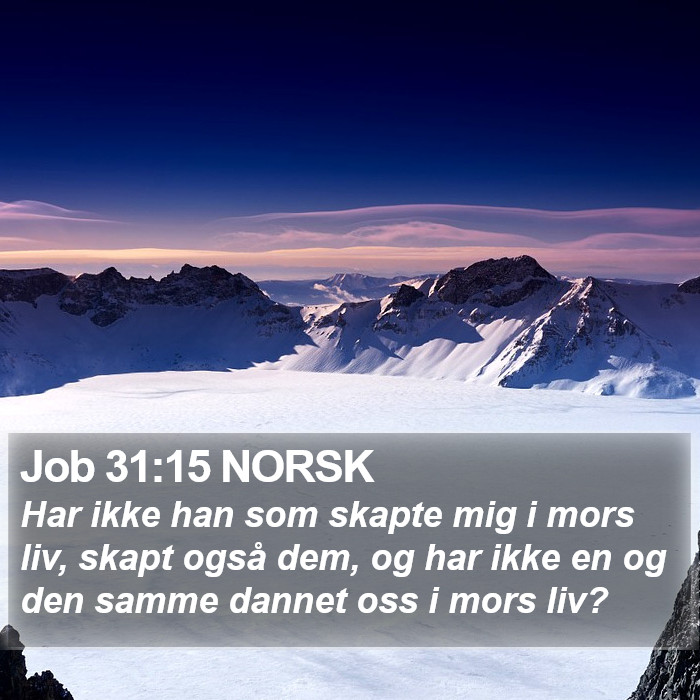 Job 31:15 NORSK Bible Study