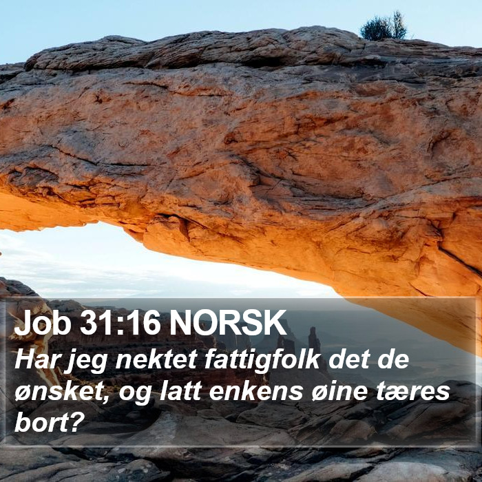 Job 31:16 NORSK Bible Study