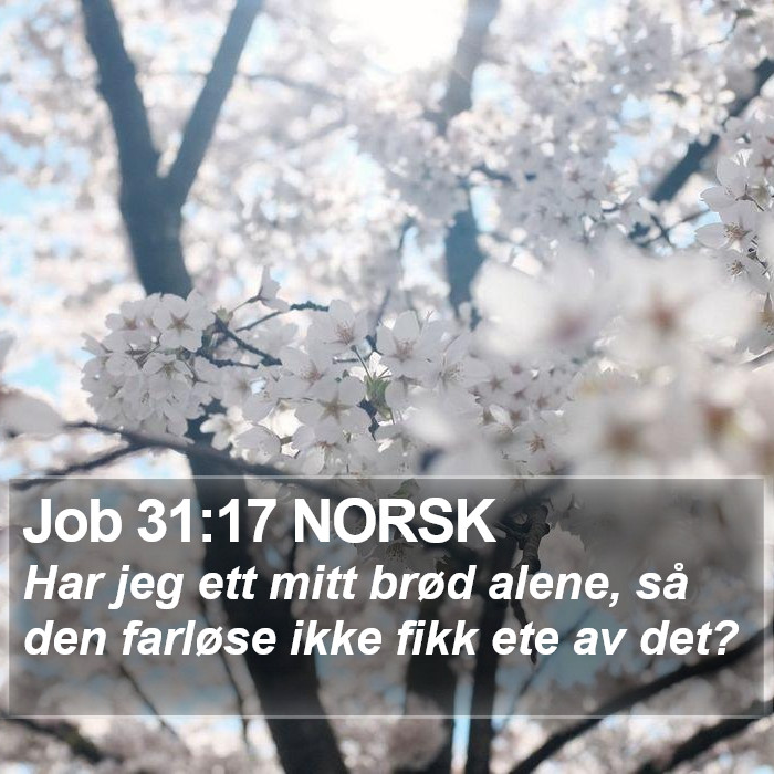 Job 31:17 NORSK Bible Study