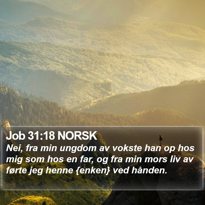 Job 31:18 NORSK Bible Study