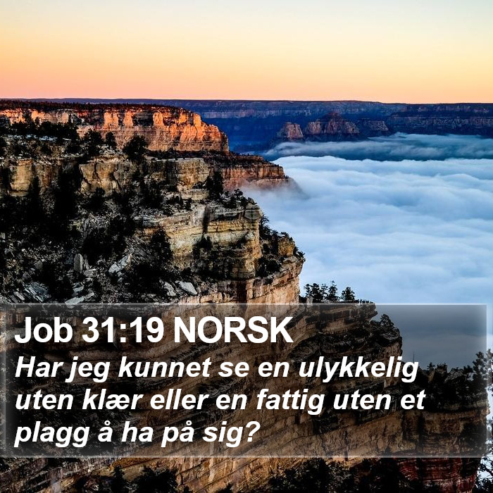 Job 31:19 NORSK Bible Study