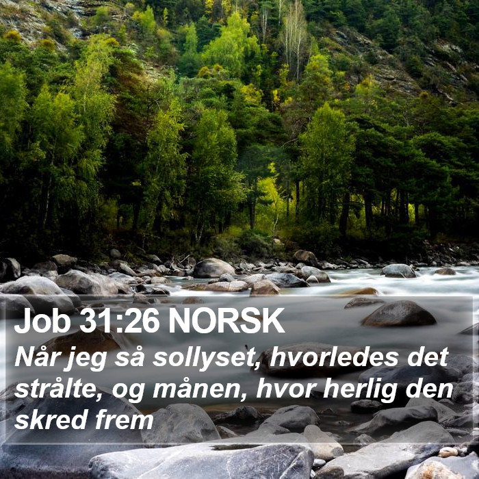 Job 31:26 NORSK Bible Study