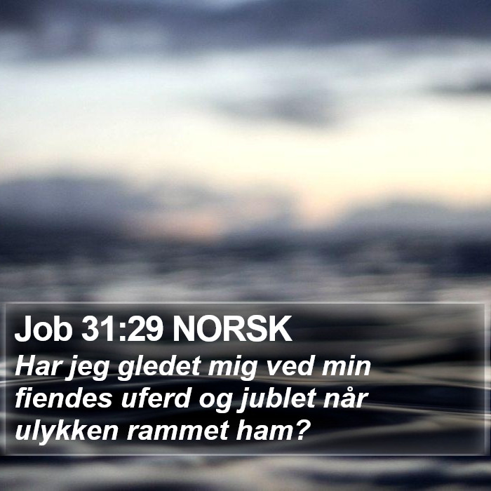 Job 31:29 NORSK Bible Study