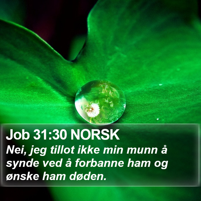 Job 31:30 NORSK Bible Study