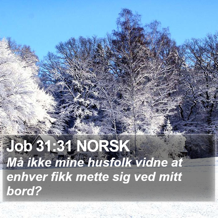 Job 31:31 NORSK Bible Study