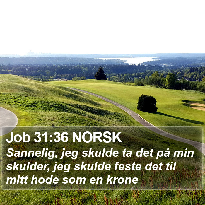 Job 31:36 NORSK Bible Study