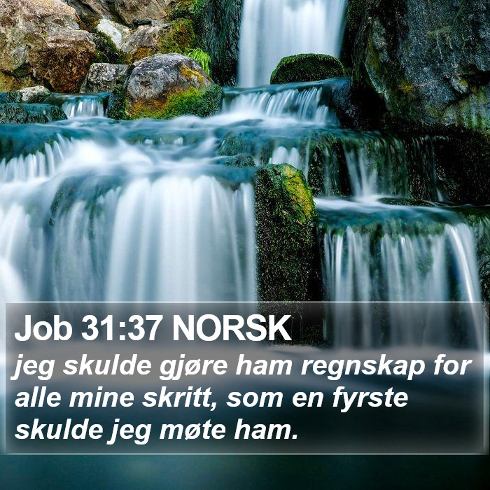 Job 31:37 NORSK Bible Study