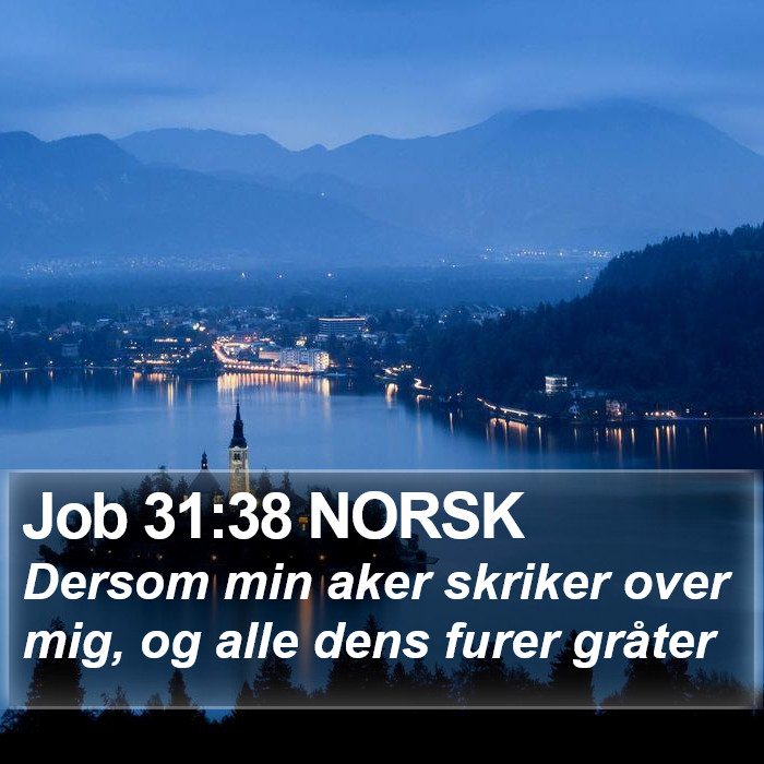 Job 31:38 NORSK Bible Study