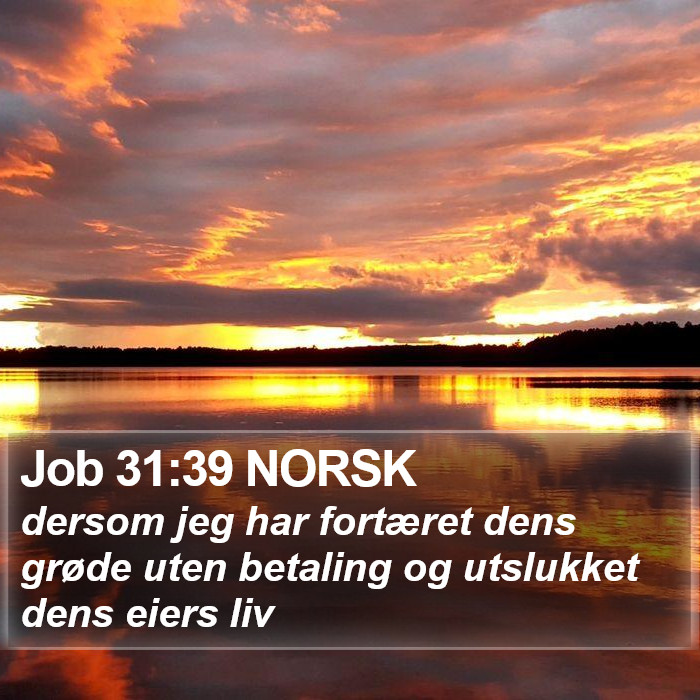 Job 31:39 NORSK Bible Study