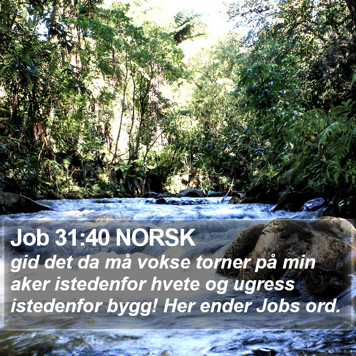 Job 31:40 NORSK Bible Study