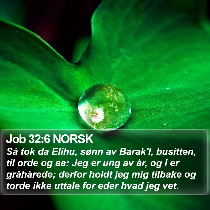 Job 32:6 NORSK Bible Study