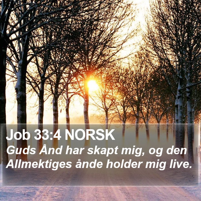 Job 33:4 NORSK Bible Study
