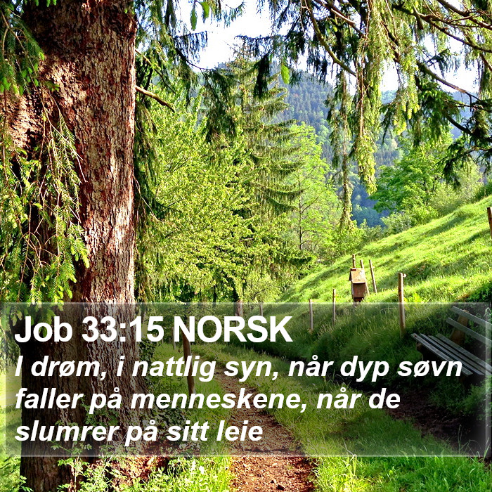 Job 33:15 NORSK Bible Study