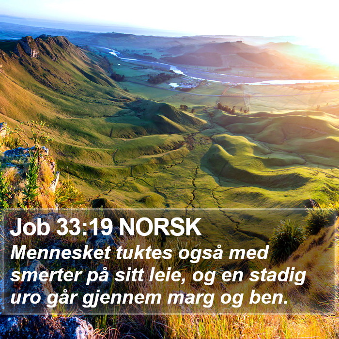 Job 33:19 NORSK Bible Study