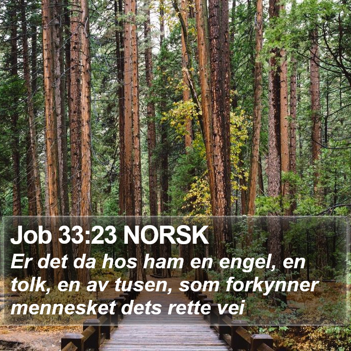 Job 33:23 NORSK Bible Study