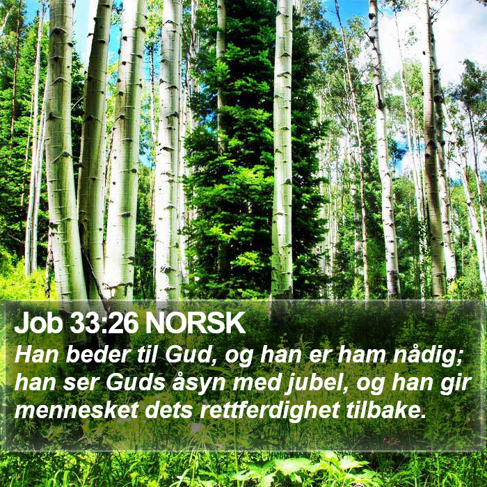 Job 33:26 NORSK Bible Study