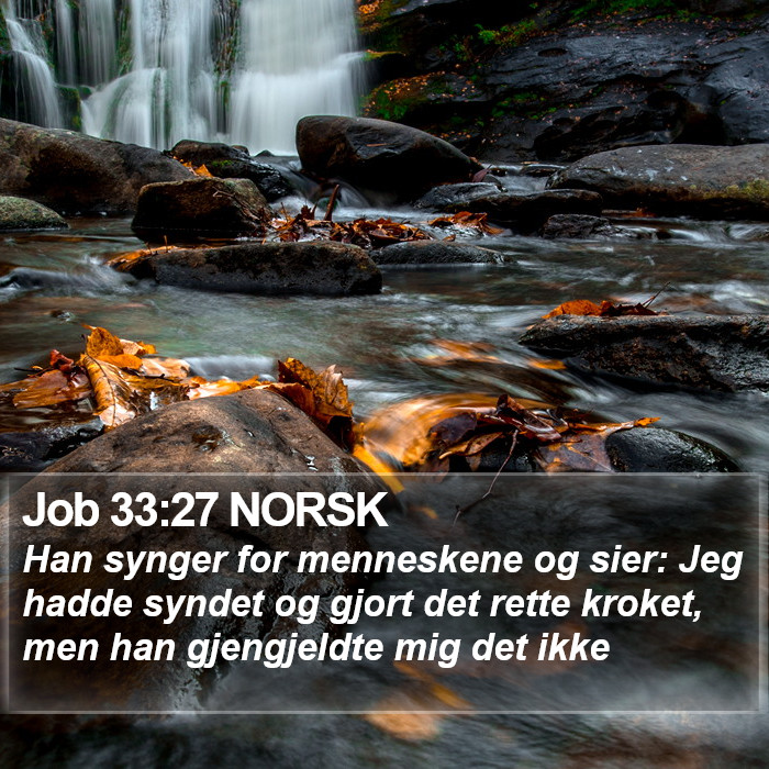 Job 33:27 NORSK Bible Study