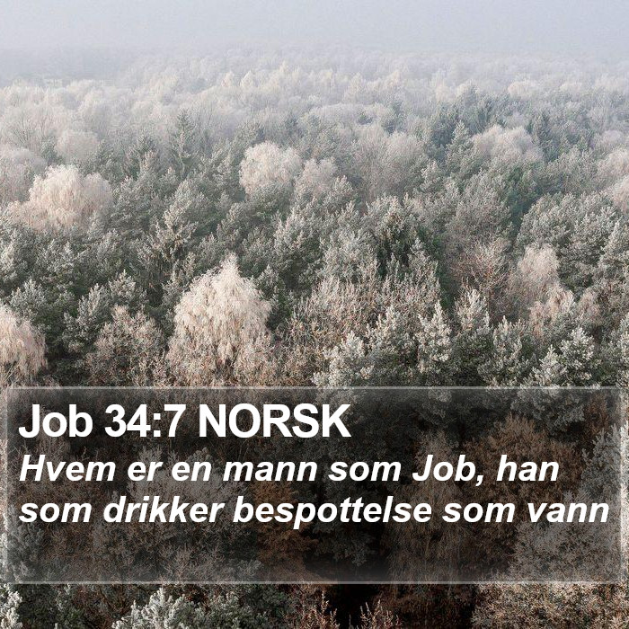 Job 34:7 NORSK Bible Study