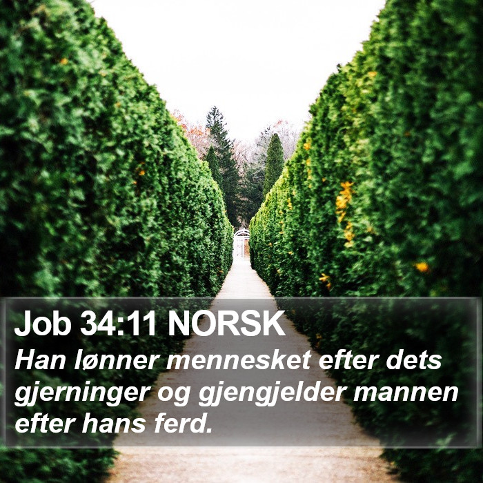Job 34:11 NORSK Bible Study