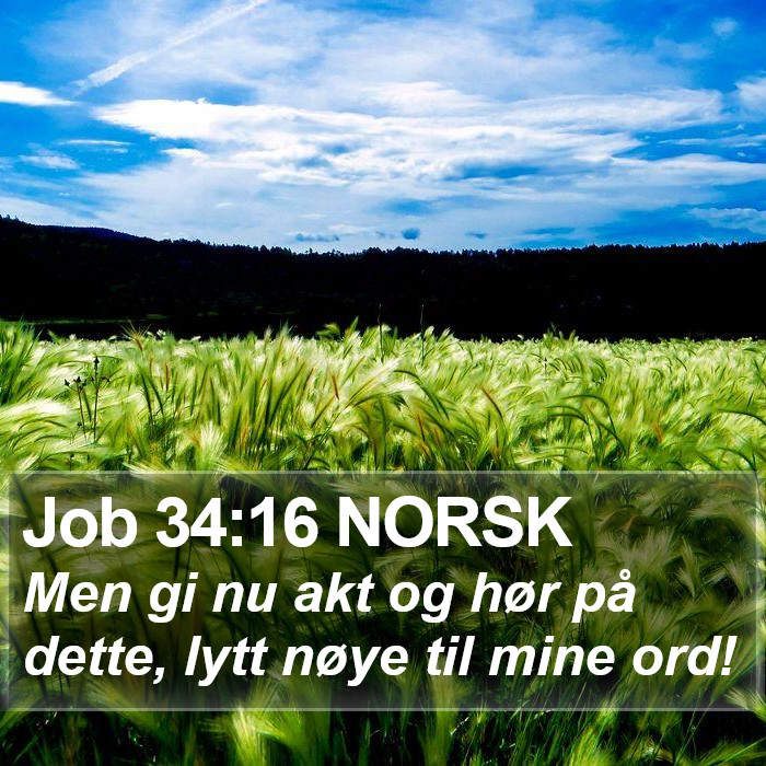 Job 34:16 NORSK Bible Study