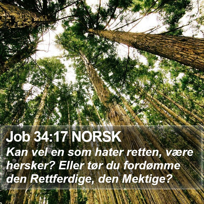 Job 34:17 NORSK Bible Study