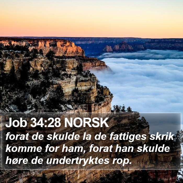 Job 34:28 NORSK Bible Study