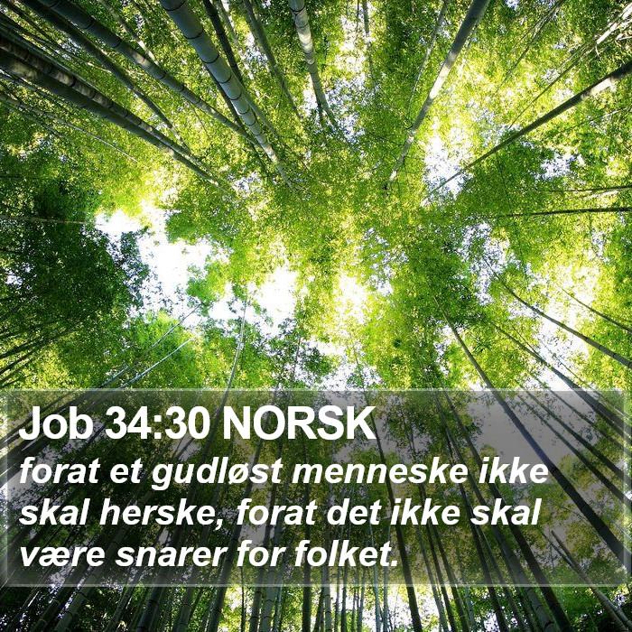 Job 34:30 NORSK Bible Study
