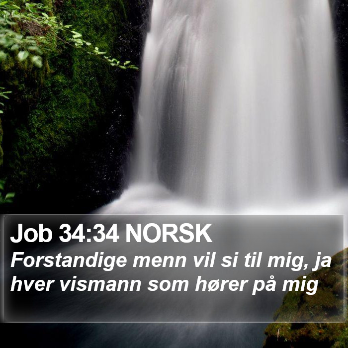 Job 34:34 NORSK Bible Study