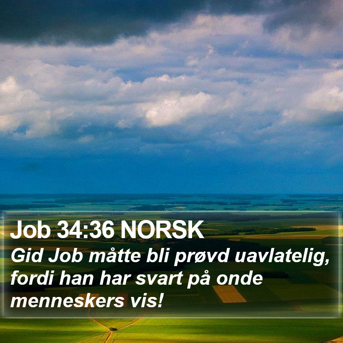 Job 34:36 NORSK Bible Study