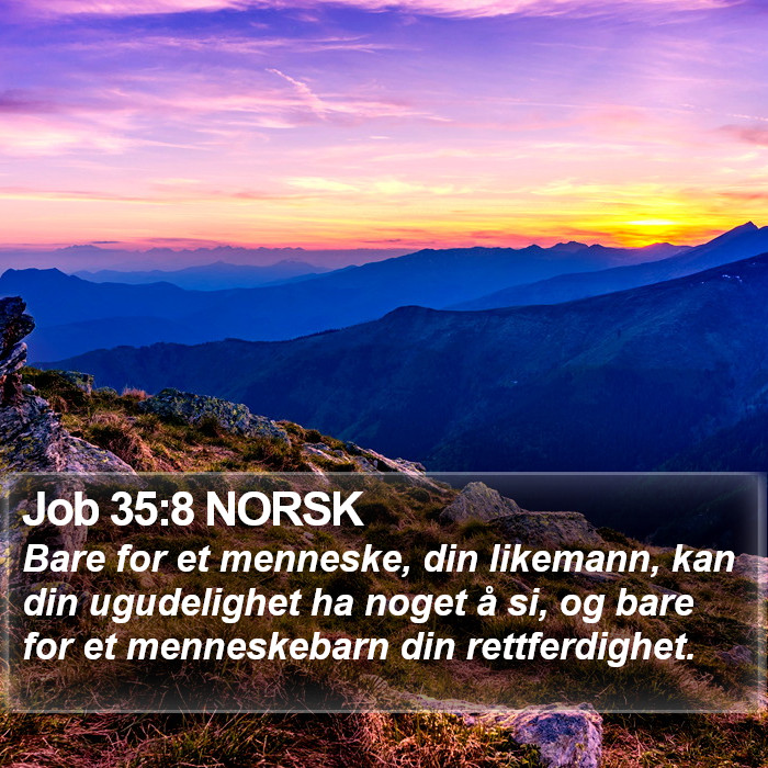 Job 35:8 NORSK Bible Study